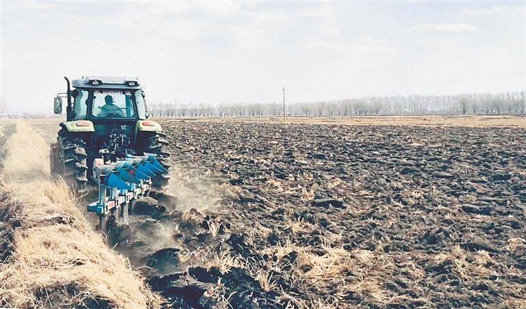 黑龙江省五常 251.1万亩水稻育苗完成
