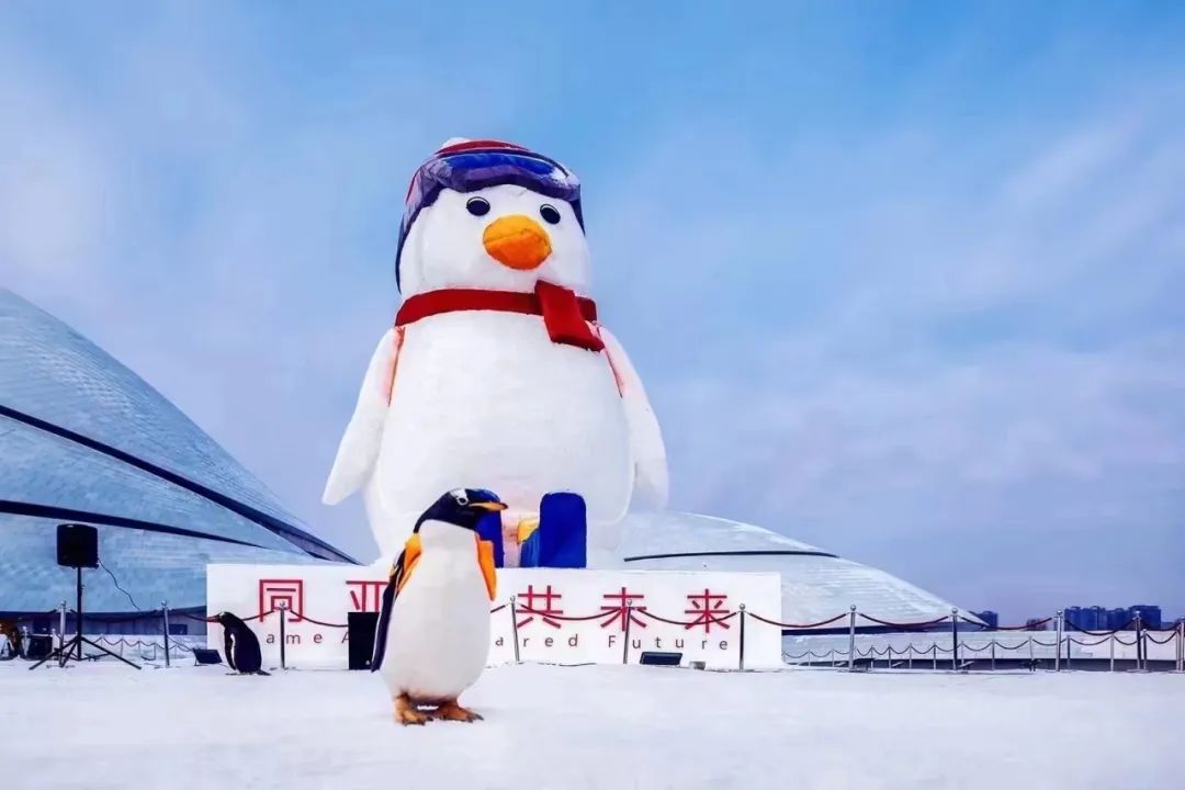 “亚冬版”雪雕亮相哈尔滨新区，等你来打卡！