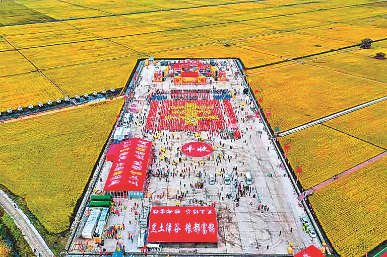 十年振兴看龙江丨富锦集群集聚新生态全力拼搏新赛道