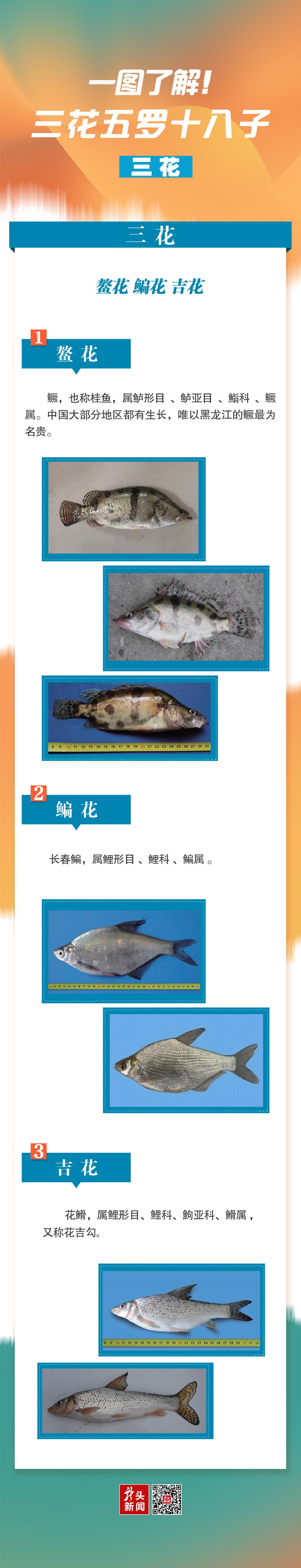 哪种淡水鱼最好吃？三花五罗十八子可谓是名满江湖 - 知乎