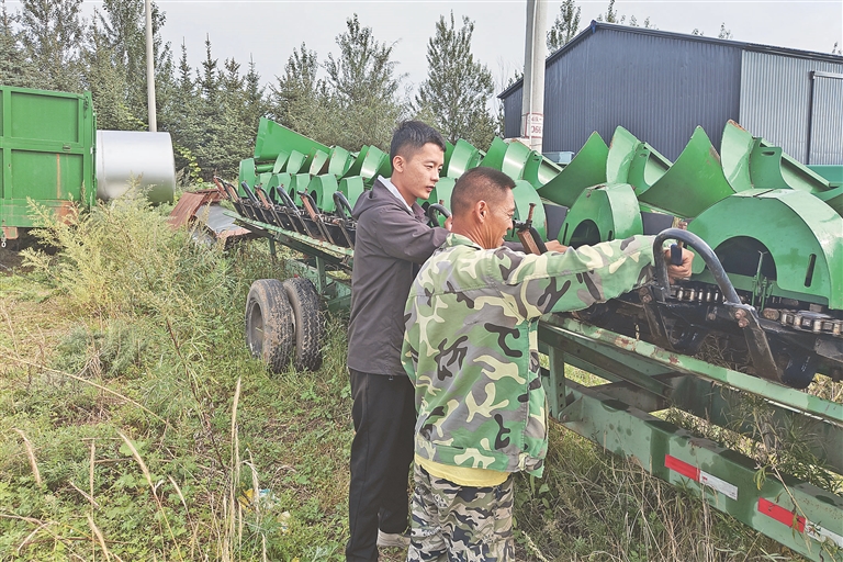 我在现场｜逊克农场