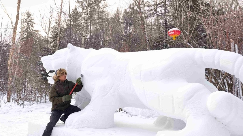 就地取材，用二浪河的雪雕刻出一只长5米，高3米，宽2.8米的东北虎。这只雪虎威风凛凛，虎牙、胡须、斑纹都栩栩如生。
用这种方式祝福大家在新的一年里虎虎生威，确实别致！