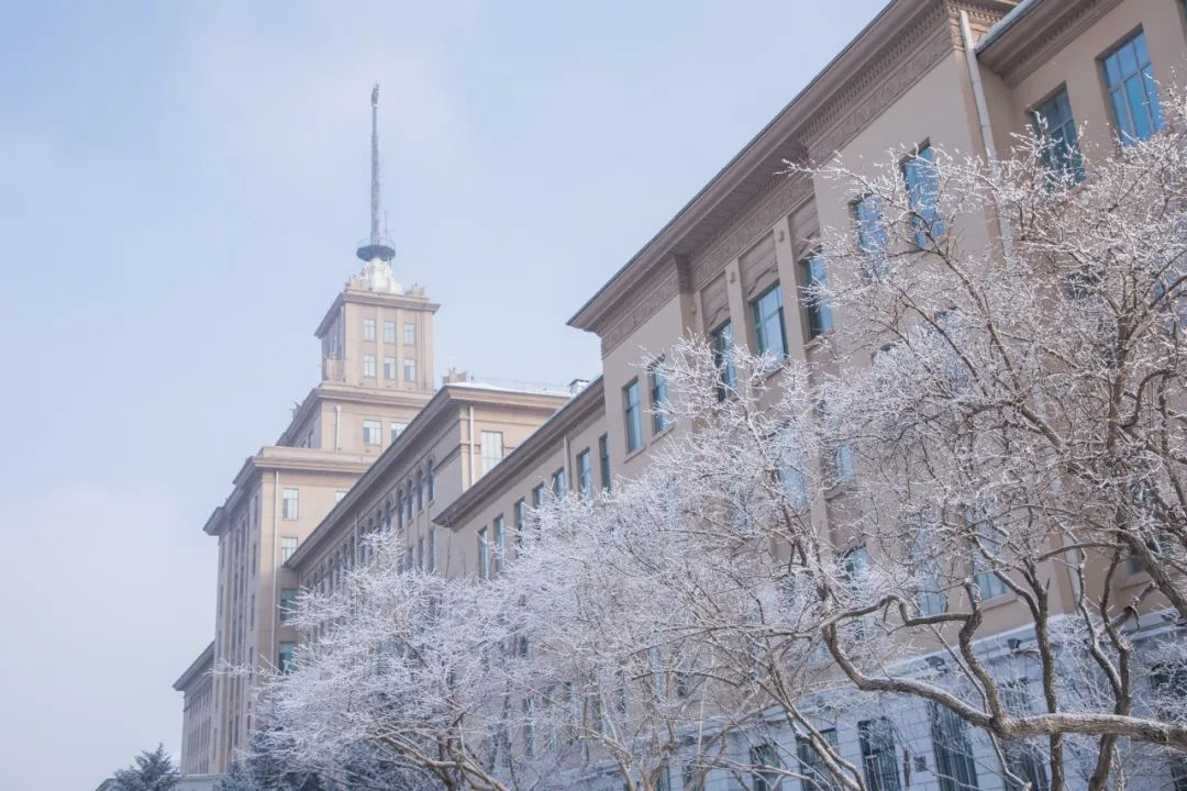 “神舟揽月”“雪雕长廊”……这才是冰雪研学的正确打开方式