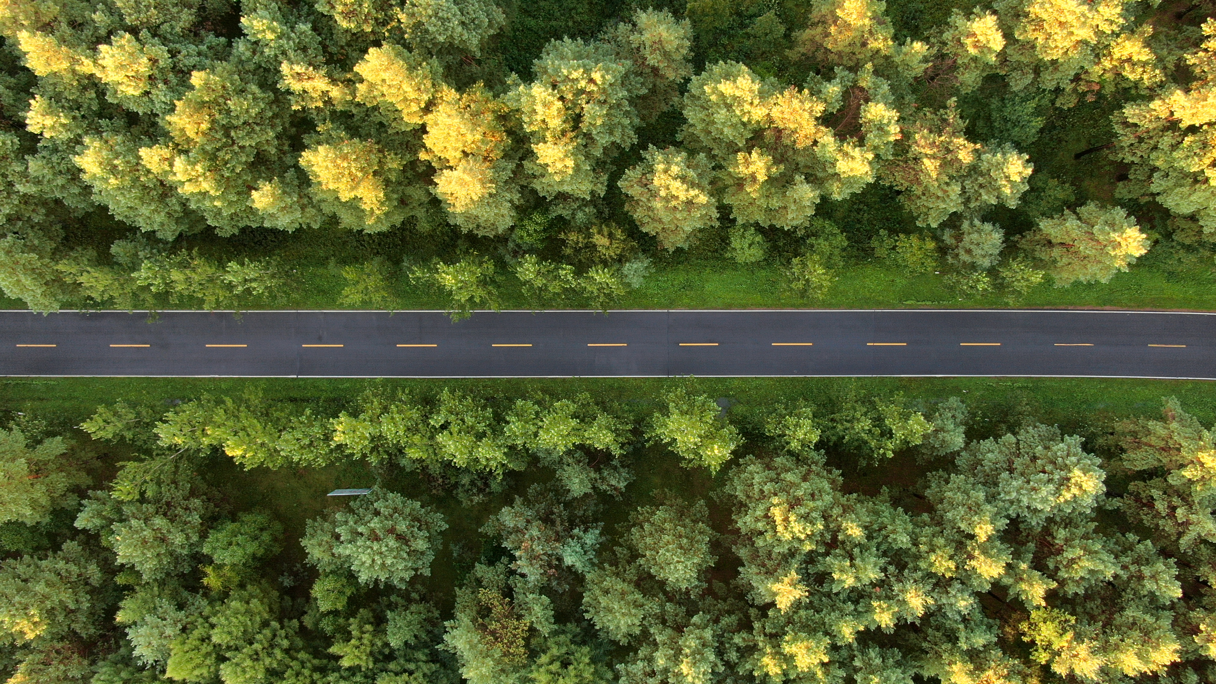 DJI_0124.JPG