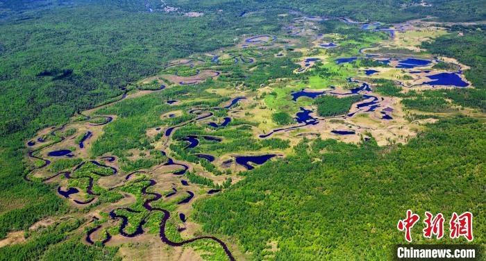 图为黑龙江大沾河湿地，是中国最大的森林湿地 龙江森工提供