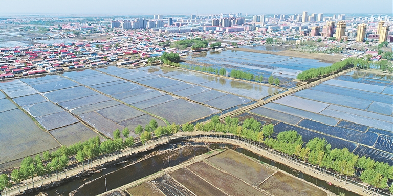 肇源人口_肇源县第七次全国人口普查主要数据公报