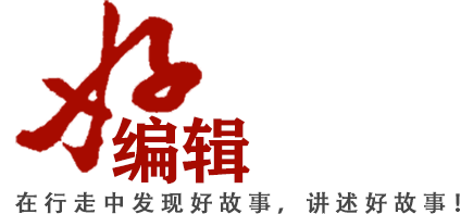 顶部logo