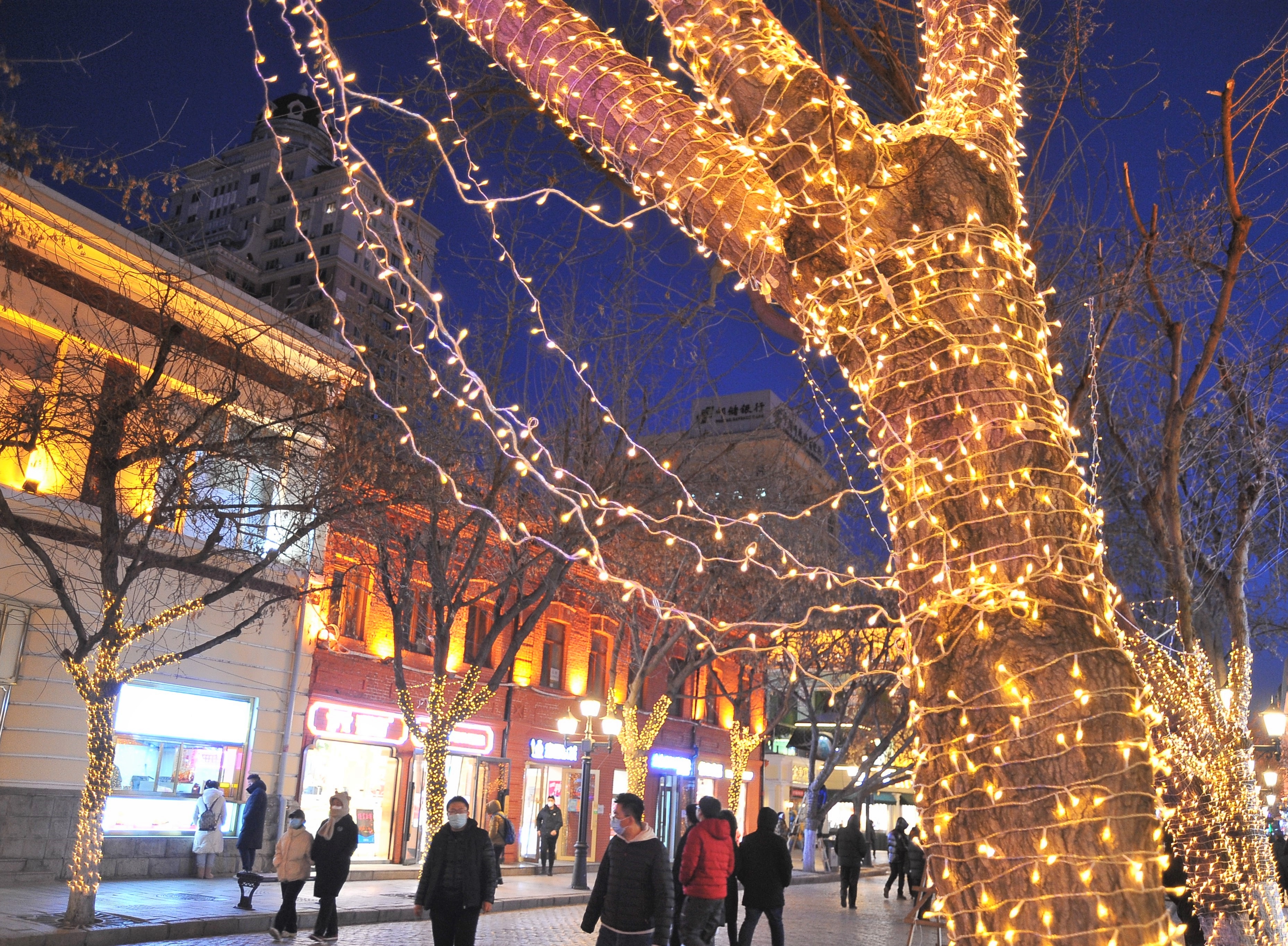 12月1日晚上，哈尔滨市道里区中央大街，工作人员在路两侧的树上装饰了许多彩灯，构成了一条灯光长廊，将这条百年老街装扮得格外美丽。许多市民来到这里逛街购物、散步休闲，感受迷人的夜色，有的市民还拿出手机拍下精彩瞬间。