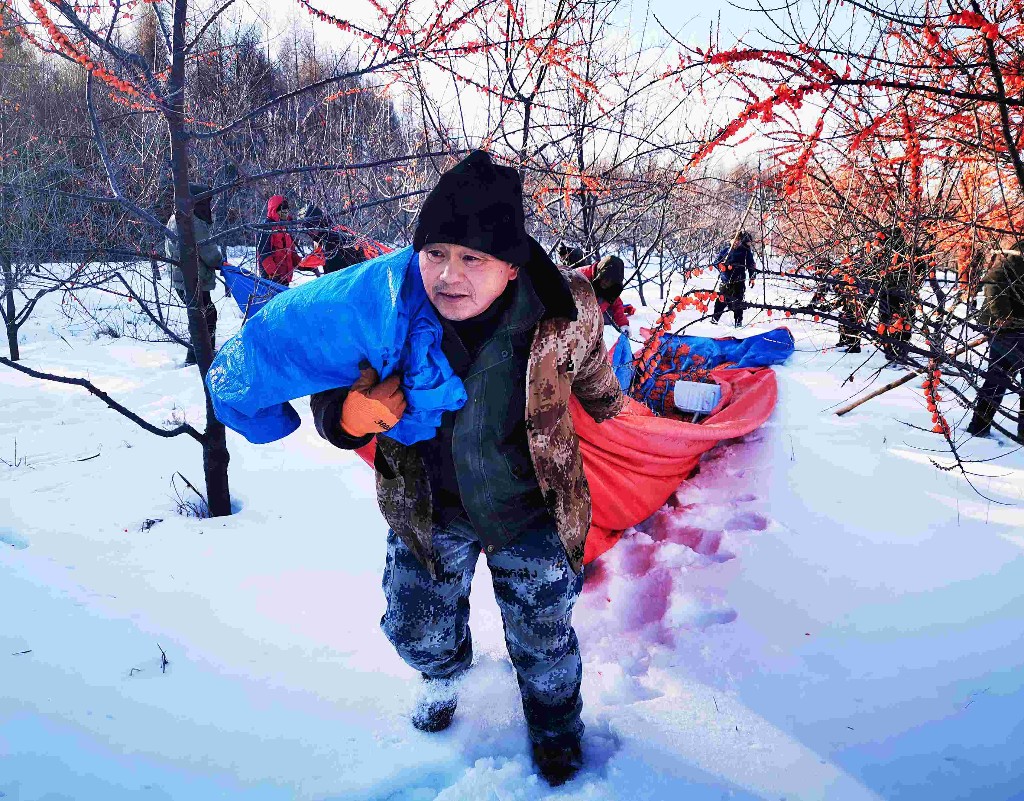 21日，冬至。在牡丹江市东安区兴隆镇东村的山坡上，皑皑白雪映衬下，红彤彤的沙棘果长势格外喜人。今天，村民开始“打果”了，丰收的喜悦映在村民的脸上。
