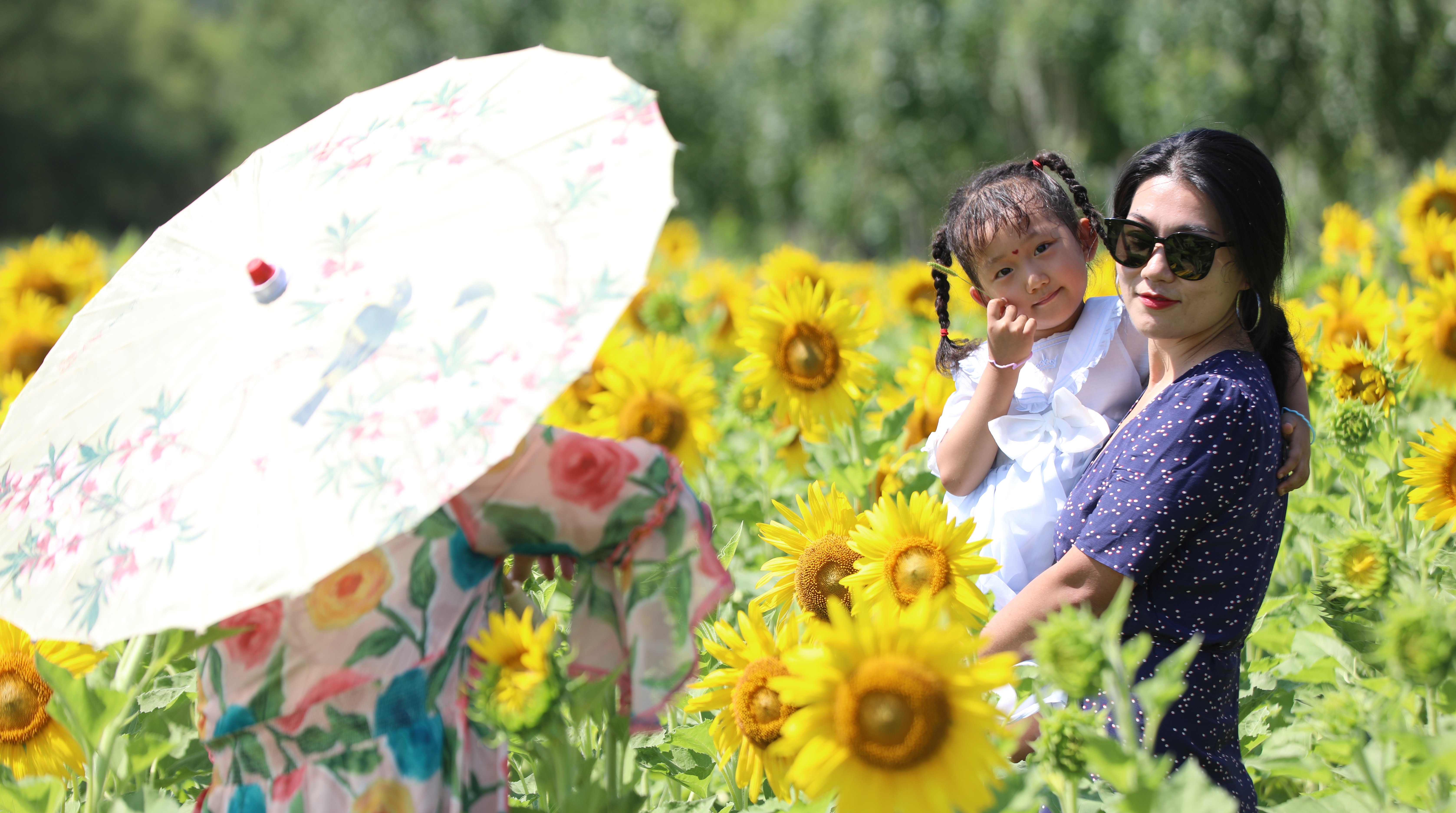 8月1日，缤纷夏日，正值暑期。在国家AAAA级景区齐齐哈尔明月岛，许多鹤城市民趁着假期带着孩子上岛避暑游玩。

