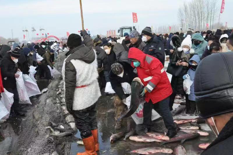 2022黑龙江冷水鱼·冬捕季｜渔猎冬捕文化节开幕