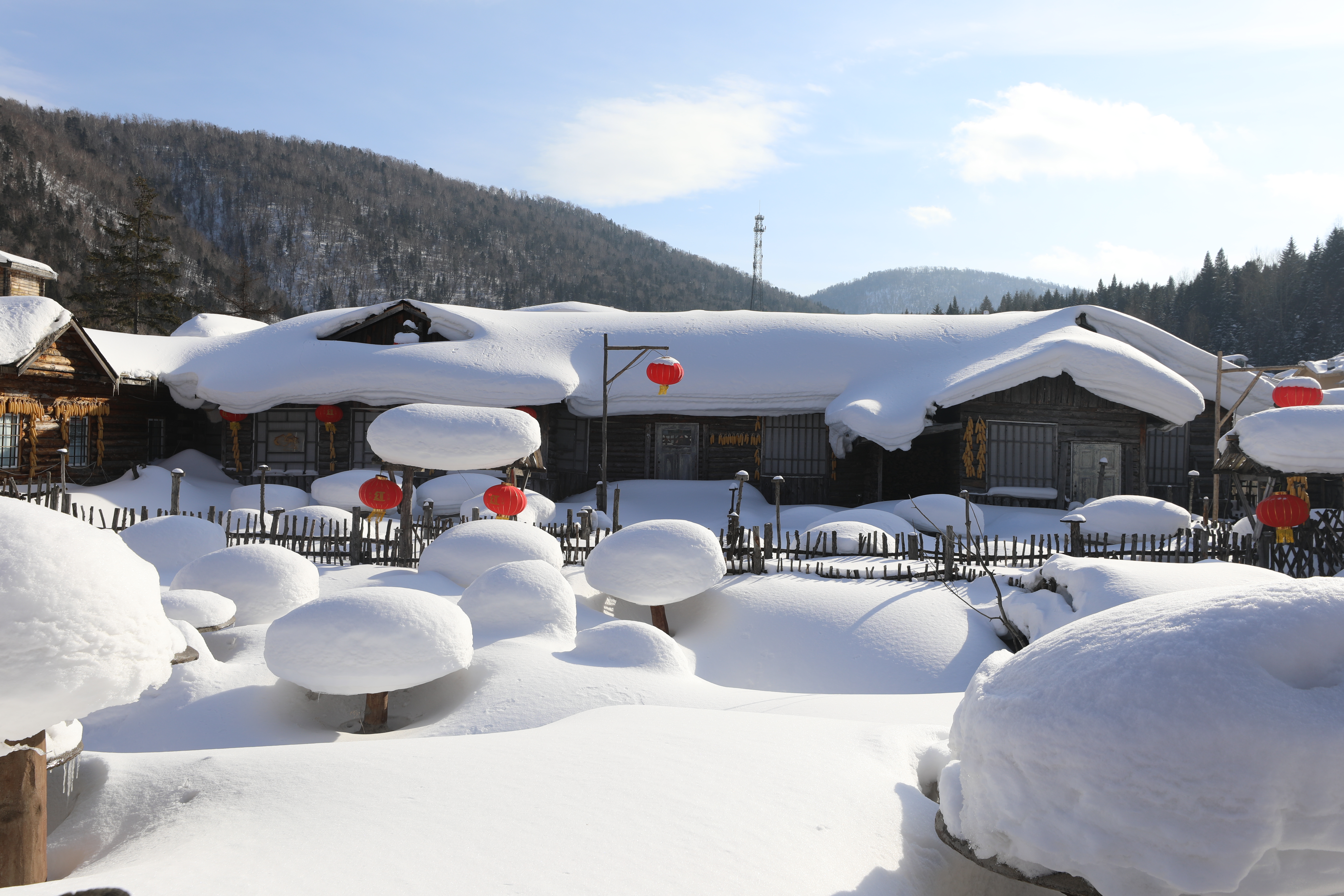 夏季再相约！雪乡景区7日正式闭园