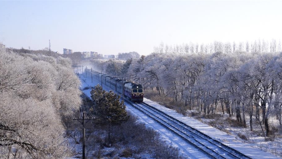 近日一股冷空气袭来，在树枝上凝结成雾凇。雾凇让道路成了银花怒放的长廊，玉树琼花像宝石一样靓丽，如水晶一样耀眼。