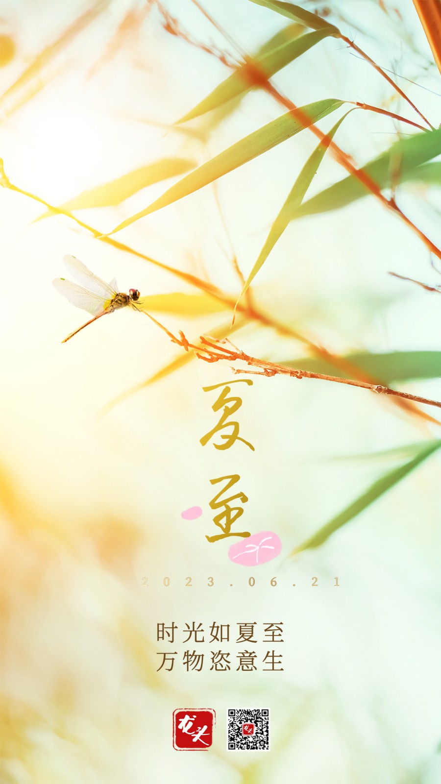 微信图片_20230621062500.jpg