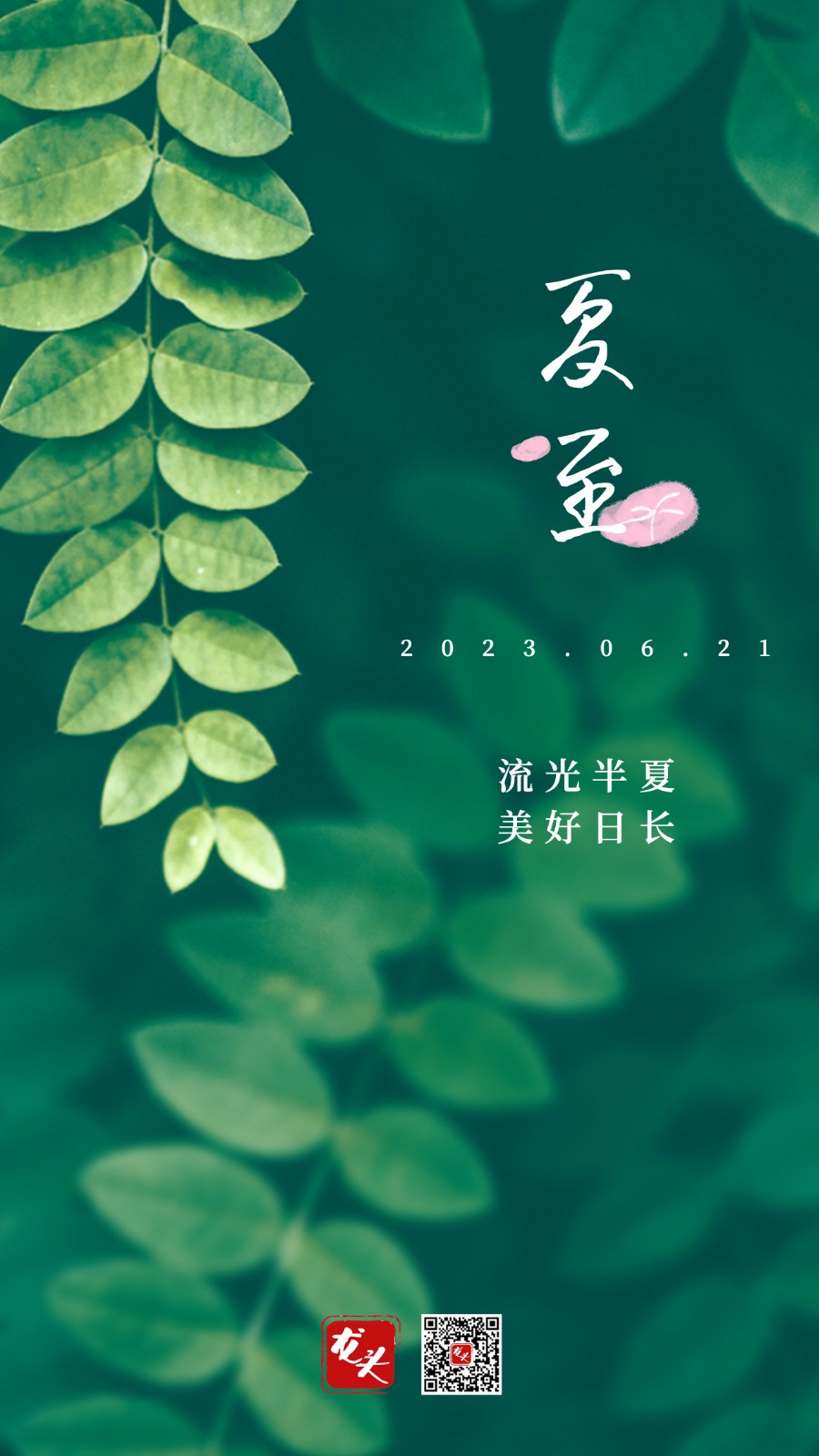 微信图片_20230621062457.jpg