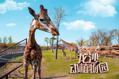 3.gif