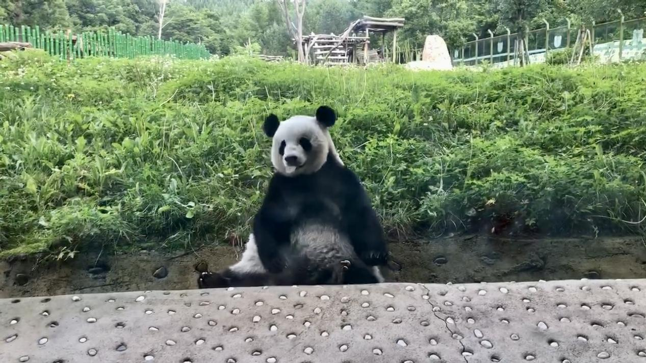 图片 5.png