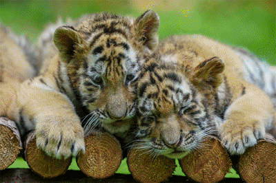 hljrb_2_2020090f64d51d-5373-4d24-9aec-9697e7565216.gif
