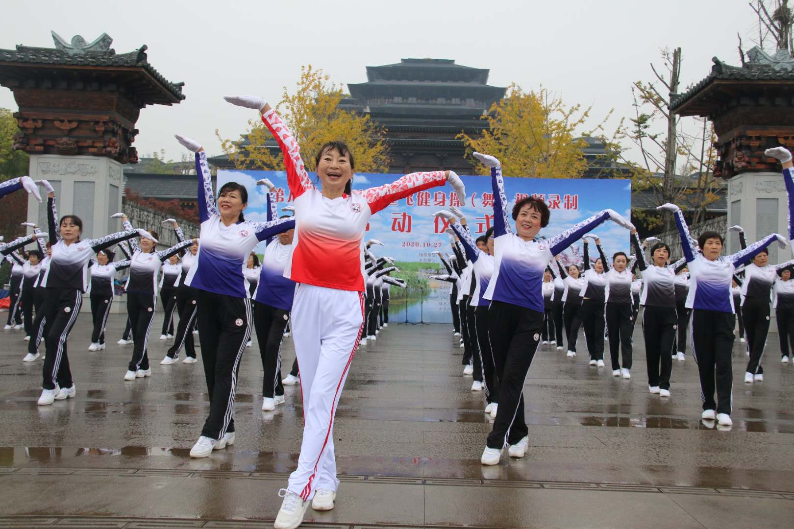 鹤城鹤舞展演.jpg
