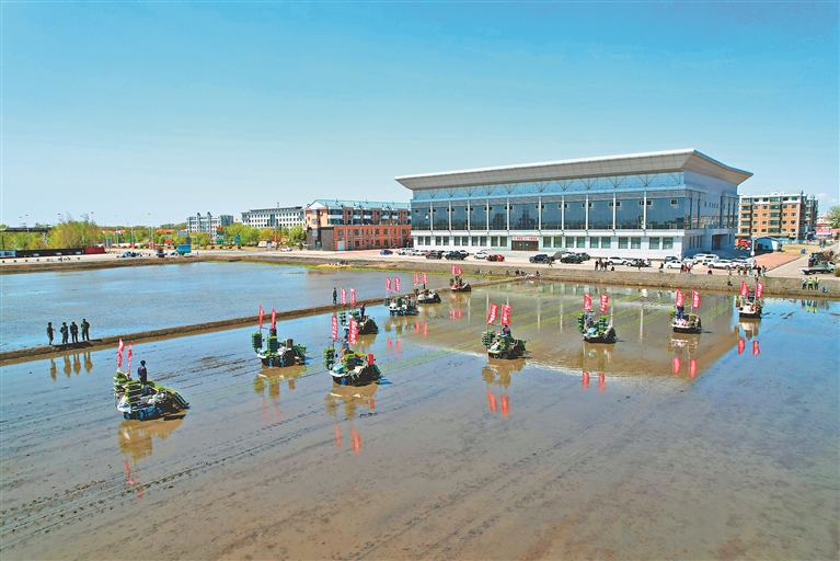 二次创业新征程走进北大荒农业股份15北大荒农业股份二九一分公司