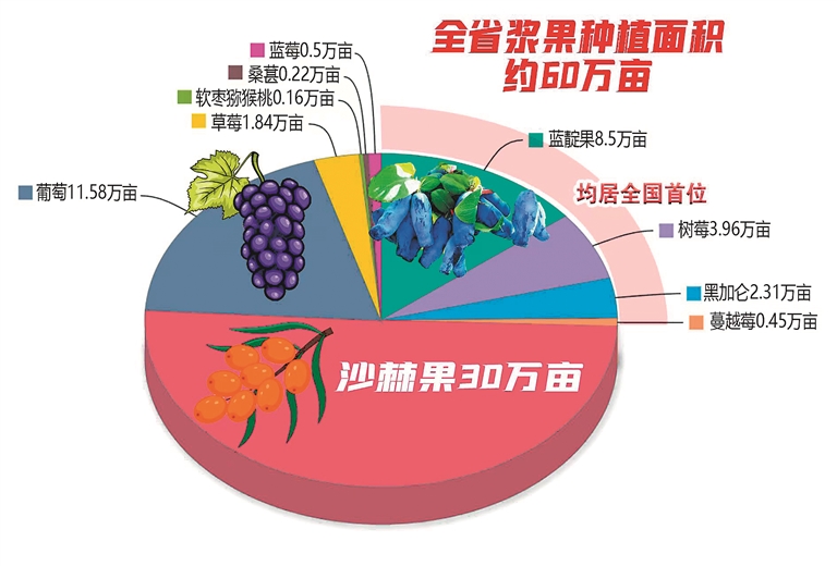 我省蔓越莓、蓝靛果、树莓、黑穗醋栗面积、产量均居全国首位