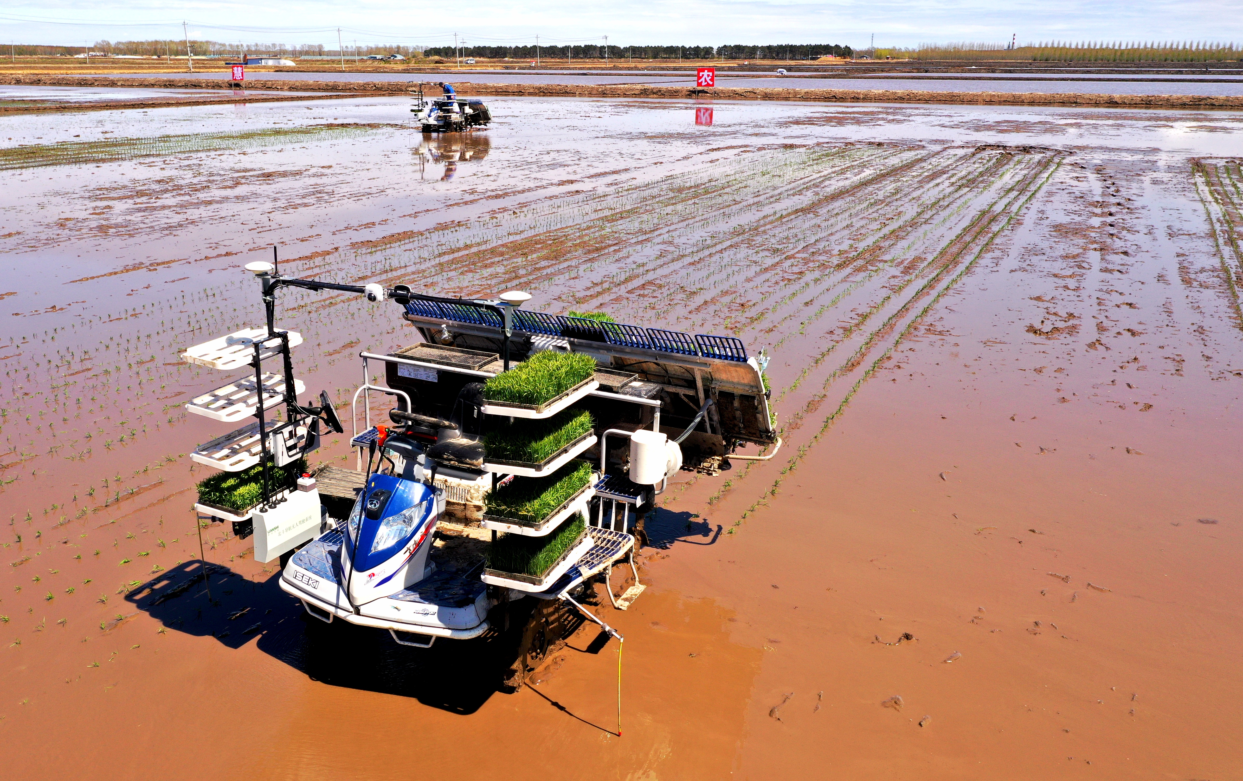 来源:龙头新闻·黑龙江日报