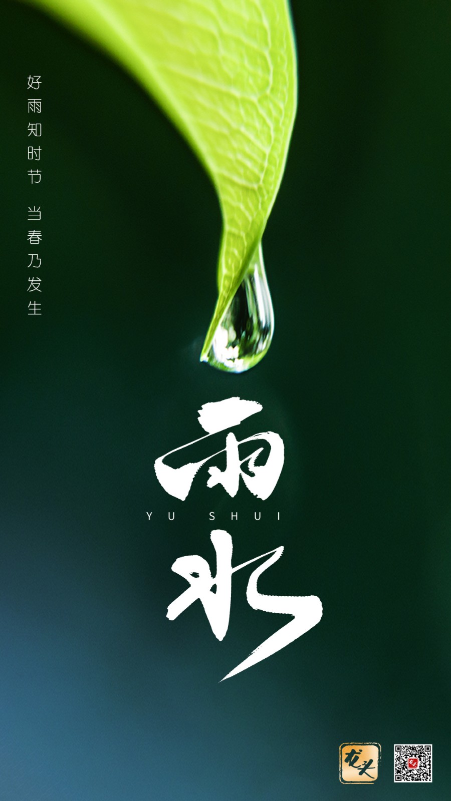 微信图片_20240219063535.jpg