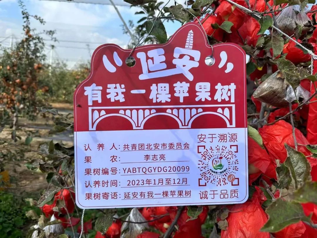 乐鱼体育两座红色之城的“双向奔赴”(图10)