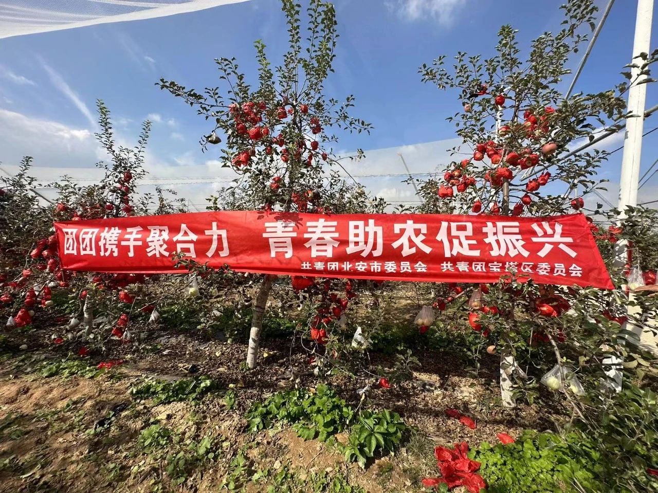 乐鱼体育两座红色之城的“双向奔赴”(图9)