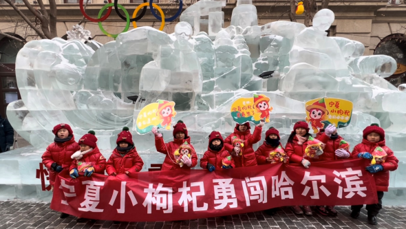 “小滩羊”刚走,宁夏“小枸杞”又来尔滨啦!