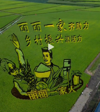 df297f87-93b2-4e09-a1e1-15f60b41976f.png