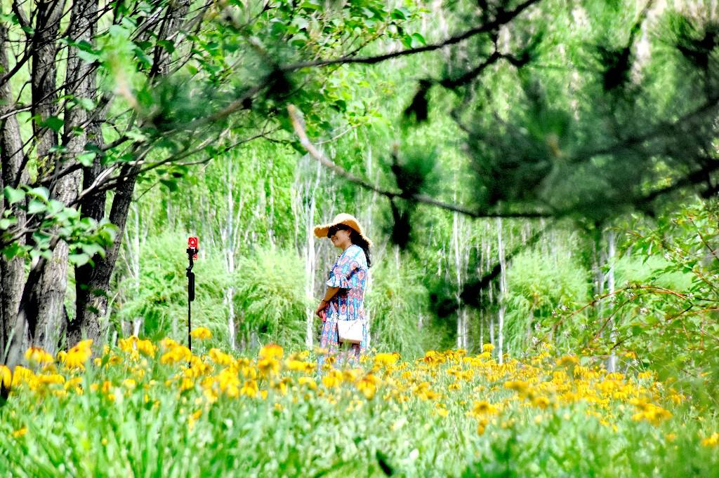夏天有什么美丽的景色 897920_b50408a3-a82f-485c-9867-30d22887c584.jpg
